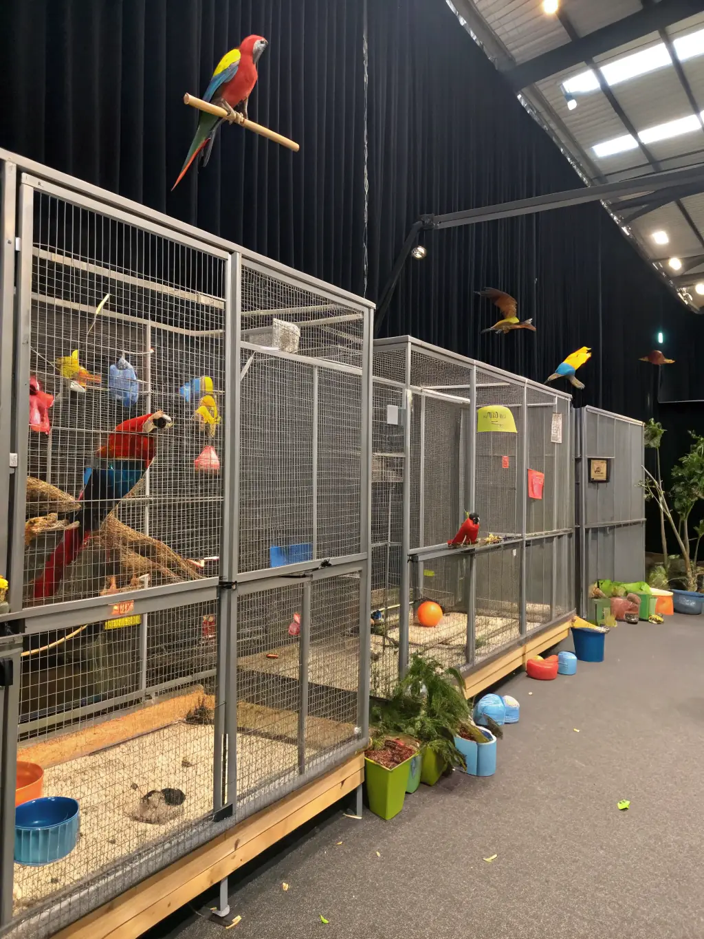 A photograph of a well-maintained game breeding facility, highlighting the club's commitment to enhancing wildlife populations through controlled breeding programs.